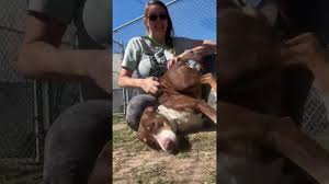 Image result for tbn:ANd9GcQasVkmZXfoFPO_D2Kgzaa-s33YvBAzlRhlWX1cD89U244Ni5sfSsUIww