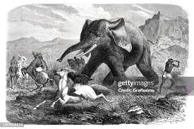 Indigenous People Hunting An Elephant ...