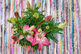 We did not find results for: Florecen En Verano Y Dan Color Al Jardin Azucenas O Lirios Lilium