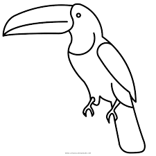 Maybe you would like to learn more about one of these? Toucan Coloring Page Ultra Coloring Pages