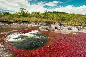 We did not find results for: The River Of Five Colors Cano Cristales Colombia Times Of India Travel