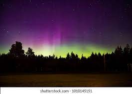 Northern Lights Canada Hd Stock Images Shutterstock