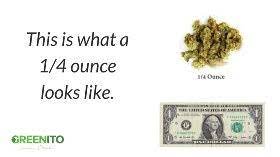 You can also use our weight conversion calculators to convert from grams and. How Much Does A Quarter Of Marijuana Weigh Quora