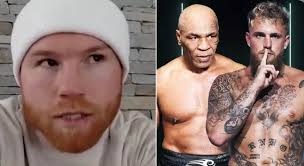 Recent Fight Discussion and Netflix Comparison