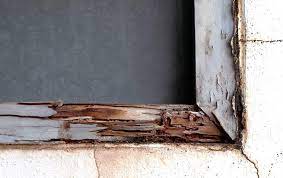 Sunken or rippled wall coverings. How To Tell If Termites Have Moved Into Your Home