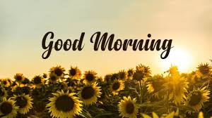 Share the best gifs now >>>. 200 Good Morning Messages Wishes Quotes Wishesmsg