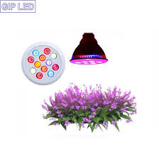 Utilising grow lights is a great way to prevent this from happening, and keeping your succulents colourful and beautiful all year round. China 12w Led Grow Light Lamp For Succulent Plants Fruits Flowers China 12w Grow Led Lights Grow Lights