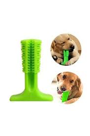 Yaban Köpeği Diş Kaşıyıcı