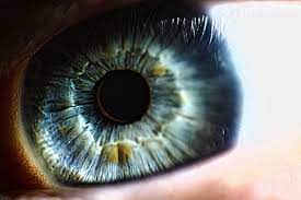 Reverse Lens Macro Photography My Eye Album On Imgur Eye Photography Healthy Cat Treats Micro Photography