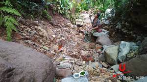 Sepanjang perjalanan menyusuri danau ini, anda akan disuguhkan dengan ilalang ilalang menjulang yangcukup tinggi. Rawa Dano Di Utara Banten Berpotensi Jadi Geopark Dunia Kumparan Com