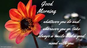 May this wednesday morning be not only good but may it be blessed in all you do. Best Good Morning Wednesday Wishes Images And Greetings 2020