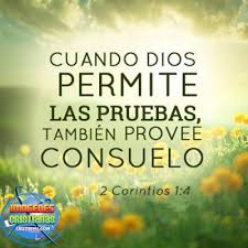 Palabras De Consuelo Sobre Las Pruebas Y Tribulaciones Palabras De Consuelo Imagenes De Consuelo Frases De Consuelo