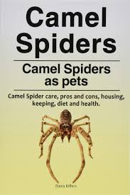 Camels can completely shut their nostrils during sandstorms. Camel Spiders Camel Spiders As Pets Camel Spider Care Pros And Cons Housing Keeping Diet And Health Riffers Diana 9781910861677 Amazon Com Books