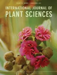 Image result for Nidorella spartioides