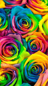 We have a massive amount of hd images that will make your computer or smartphone look absolutely fresh. Uploaded By Mema Find Images And Videos About Flowers Colors And Rose On We Heart It The App To Flowers Photography Wallpaper Rainbow Flowers Rainbow Roses