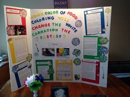 Science Fair Food Coloring And Carnations She Did Such A Good Job Proud Mommy Science Fair Projects Cool Science Fair Projects Science Fair