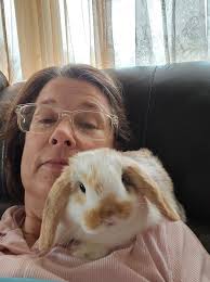 Introduction of 7-week-old cat Willow