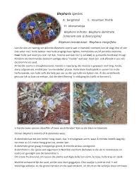 Image result for Blepharis diversispina