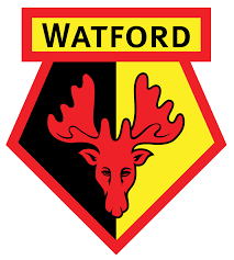 Vouchers for training courses in watford: Fc Watford Wikipedia