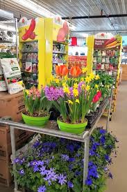 Horrocks market specializes in grocery, garden, greenhouse, produce, organics, deli, beer & wine, floral, wedding. Horrocks Farm Market 8 Reasons To Love It Mi Gluten Free Gal
