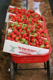 Each Box Can Hold 10 Lbs Of Strawberries Fresh Fruit Recipes Fruits And Veggies Strawberry