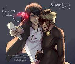 Nebilas Writes Australet789 Marichat May Day 7 Mari Protects Chat 3c Y A Miraculous Ladybug Funny Miraculous Ladybug Anime Miraculous Ladybug Fanfiction