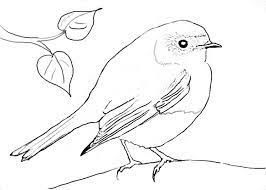 rotkehlchen ausmalbild ausmalbilder vogel ausmalen vogel malvorlagen