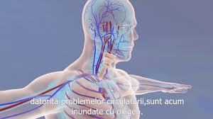 Tratamentul este rapi noninvaziv, cu efecte imediate şi de lungă durată. Beneficii Terapie Oxigen Hiperbar Youtube