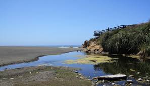 Check spelling or type a new query. Westport Union Landing State Beach Westport Ca California Beaches