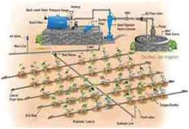 Municipal water is usually pressurized to around 85 psi. Diy Guide Installing A Drip Irrigation Systemonline Garden Design