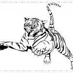 300 x 300 gif pixel. Tijger Tekenen Kleurplaat