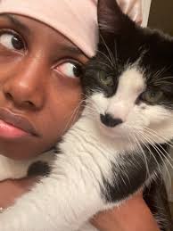 Lost Cat in Ocala, Florida, Near Meadow Glen