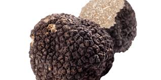 «au kilo, la truffe coûte environ 850 euros». La Truffe Noire Un Tresor Agricole Insoupconne Agrimaroc Ma