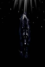 Lobo Negro Fondo De Pantalla Descargue A Su Movil Desde Phoneky Support us by sharing the content, upvoting wallpapers on the page or sending your own background. lobo negro fondo de pantalla