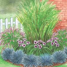 eckgras garten hair hairstyle hairstylist hairgoals haircut haircolor instahair haircare endless blooms perennial garden grasses garden daylily garden