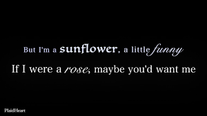 Since these don't exist in nature, they often represent unattainableness. Sunflower Sierra Burgess Lyrics Youtube