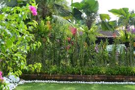 Ketinggian orkid antara 50mm kaedah pembiakan orkid. Gambar Ini Rahsia Orkid Di Laman Jadi Mabuk Bunga Impiana