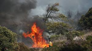 A fire has broken out on table mountain on sunday, april 18. Xh1lkyl5s2gffm