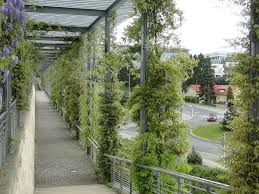 Choose from our wide range of our made to order pergolas find your perfect pergola or arbourcustomised to fit your garden. File Luxembourg Bricherhaff Pergola Jpg Wikimedia Commons