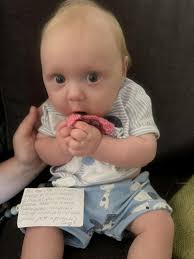 New Percy Pig Dog Toy spotted at M&S 🤩🐷