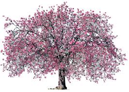 Check spelling or type a new query. Plant Facts All About Plants For Kids Dk Find Out