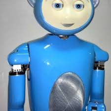 Rob Blue (Nao H25 Model Humanoid Robot)