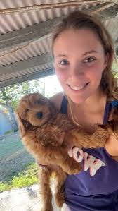 Bridge to Brisbane 2024