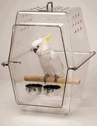 Bird Cage Seed Guard Acrylic Uk Wingabago Large Bird Carrier In 2020 Bird Carrier Parrot Toys Pet Birds