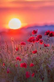 Can T Wait For Spring Beautiful Nature Nature Photography Beautiful Landscapes