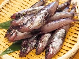 ふくしま おいseafood