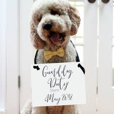 Baby number 2 announcement with dog. 2 Dog Signs For Pregnancy Announcement Guard Dog Duty Official Toy Tester For Baby Handmade Products Kolhergroup Party Supplies