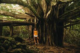Hana town on maui is one of the most remote and beautiful places in the hawaiian islands. Road To Hana Hawaii Die Besten Stops Reise Tipps Fashiioncarpet