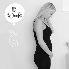 From january 28 you will no longer be able to access this website. Pregnancy 15 Weeks Bump Watch Lets Talk Mommy