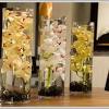 The range of sizes makes an artful, textured display. 1